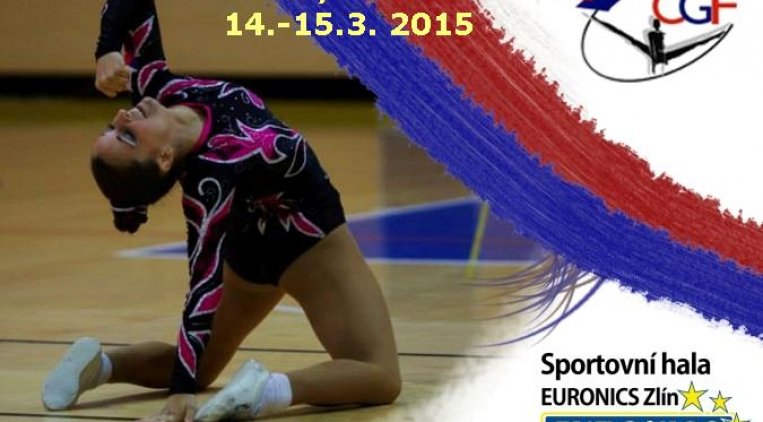 CZECH AEROIC OPEN 2015.jpg